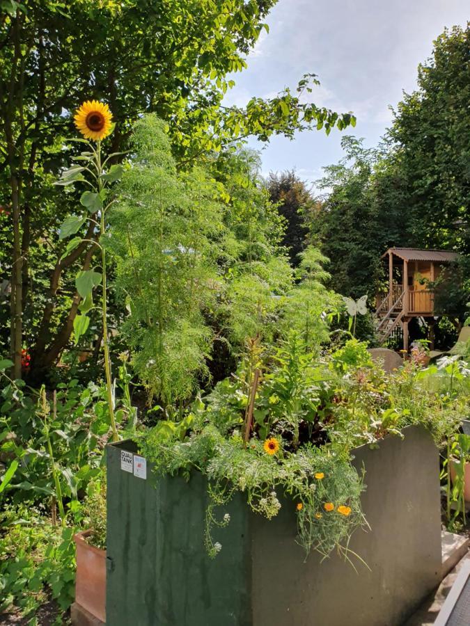 Zentral Gelegene Wohnung Mit Grossem Garten Interlaken Buitenkant foto